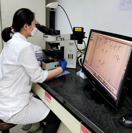 하이트진로 연구원이 현미경을 통해 효모의 형태적 특성을 관찰하고 있다. <하이트진로 제공>